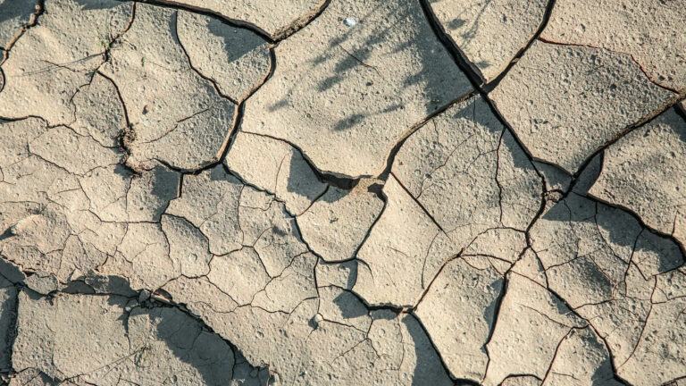 background-cracked-nails